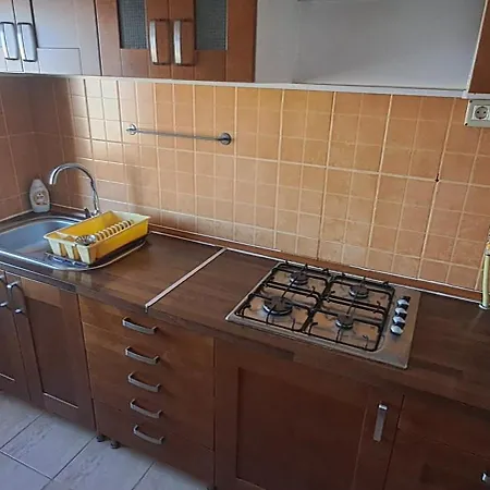 Alina Etaj 6 דירה מנגליה